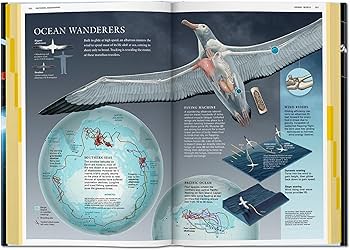ナショナルジオグラフィック・インフォグラフィックス［大型本］